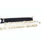 Flauto Aulos Dolce Soprano 302