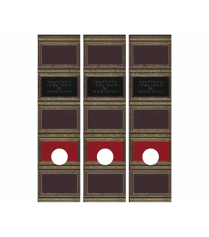 Dorsi per Raccoglitore in Carta Trittico